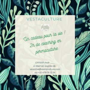 Bon cadeau 2H de coaching privé