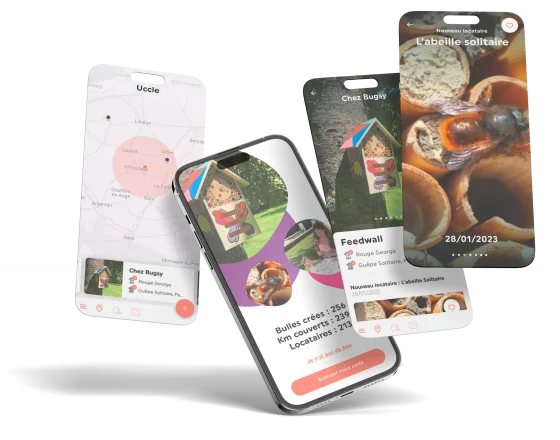 Betterfly Home - Image 2