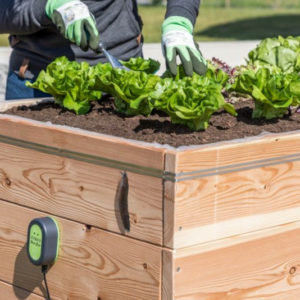 Connecteur pour ruban