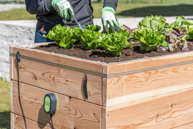 Clôture électrique anti-limaces SnailStop - Image 2