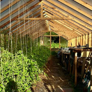 Grande serre productive