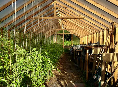 Grande serre productive