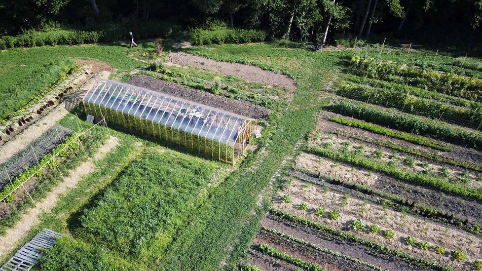 Grande serre productive - Image 2