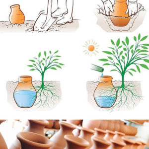 OYAS à enterrer taille L