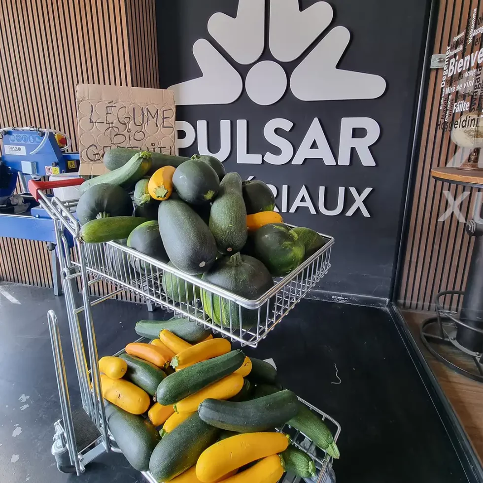 18d5b5_07a92689a5bd478cbde0321590152765~mv2