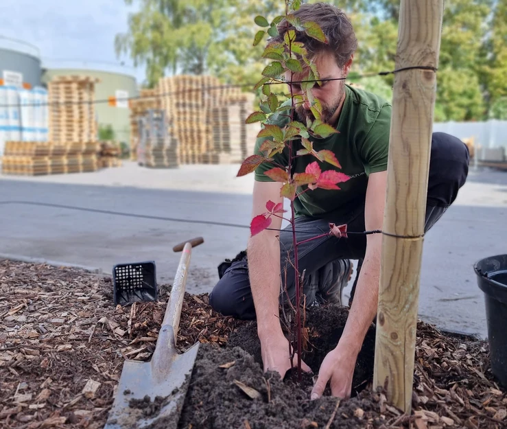 18d5b5_1d1ed2d31e02454f926f5e52c9b402af~mv2