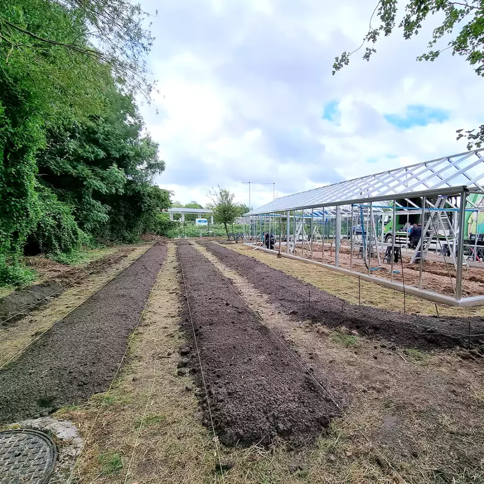 18d5b5_28e6ebf324ab4f009f1e11449abdaae4~mv2