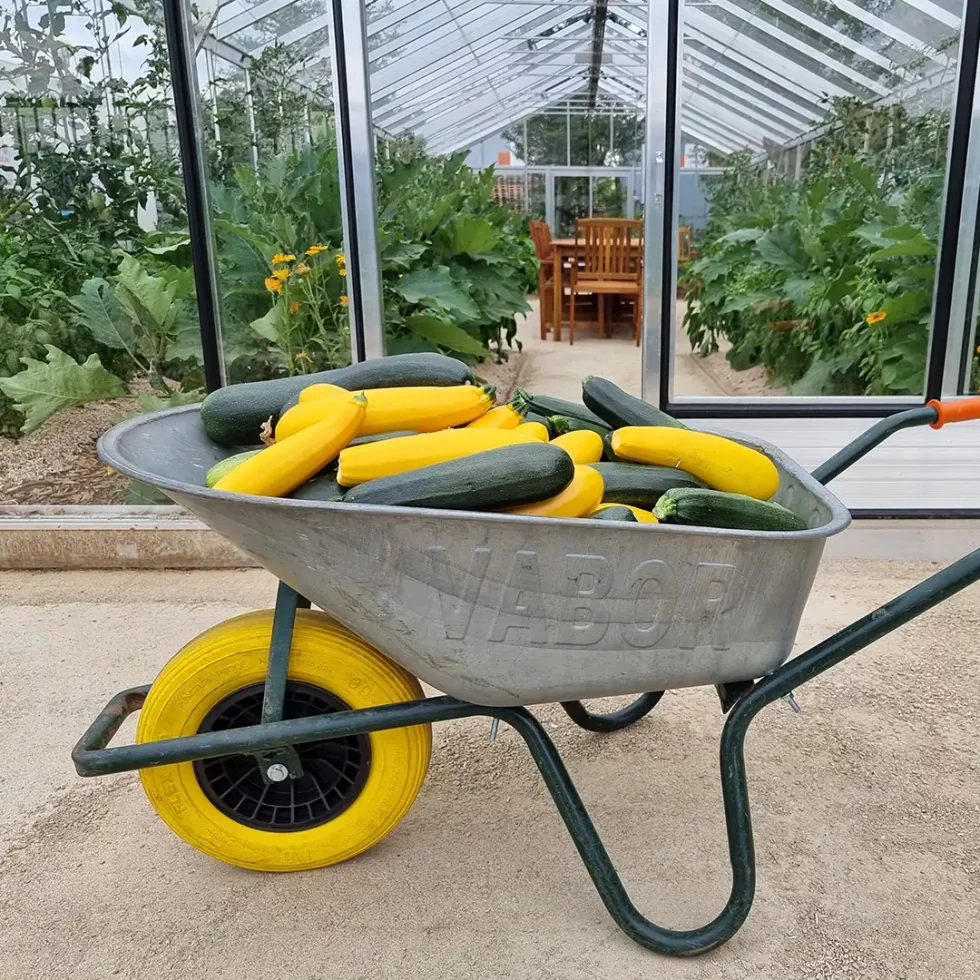 18d5b5_28e88d03b8c64a3f8d3759cdba81107c~mv2