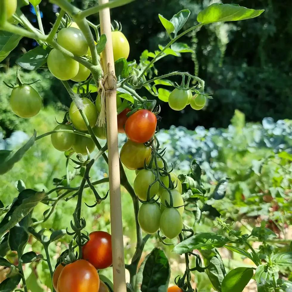 18d5b5_2e8ab1a2671a41619f2833fe8e1ce22c~mv2