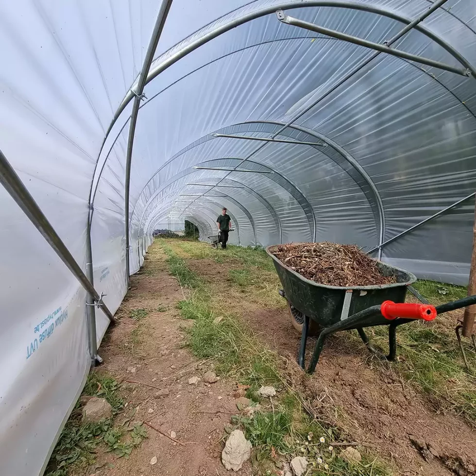 18d5b5_453a765daaf14932821fffff7da96db2~mv2