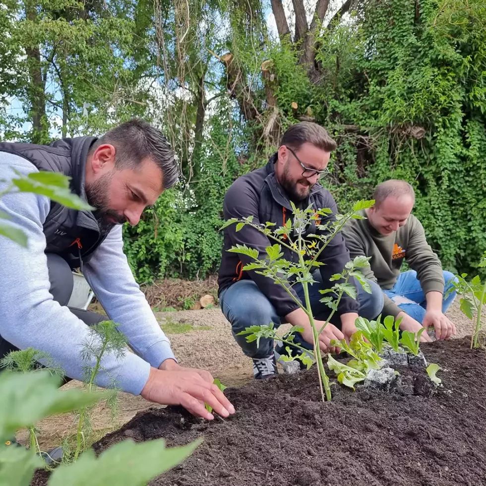 18d5b5_655d2ef446694967b303ab50d22ec6e5~mv2