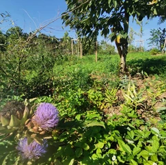 18d5b5_7405d150cfdd47baa905bfbcd8fb7887~mv2