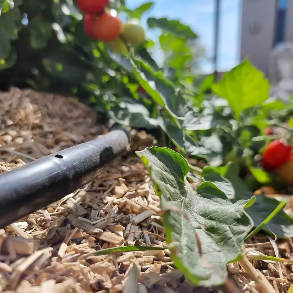 18d5b5_8783c13331b144b7bbabdab6576e8ea3~mv2