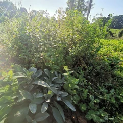 18d5b5_8864fd383e7244c9be3aff494f3e74d3~mv2