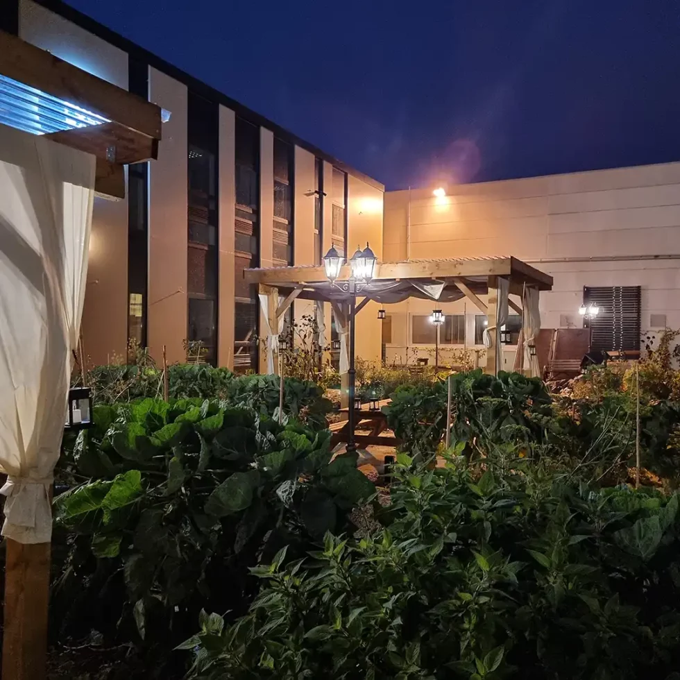 18d5b5_b916875552f74dbe8503bf2d5c9c5458~mv2