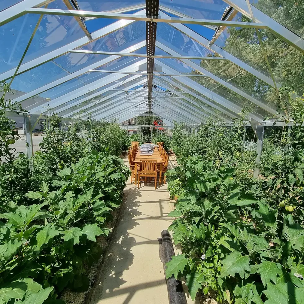 18d5b5_c04397610e0a49f5b201a3e95b911e76~mv2