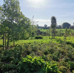 18d5b5_c90ee91f846d4ad682f70d90527f3234~mv2