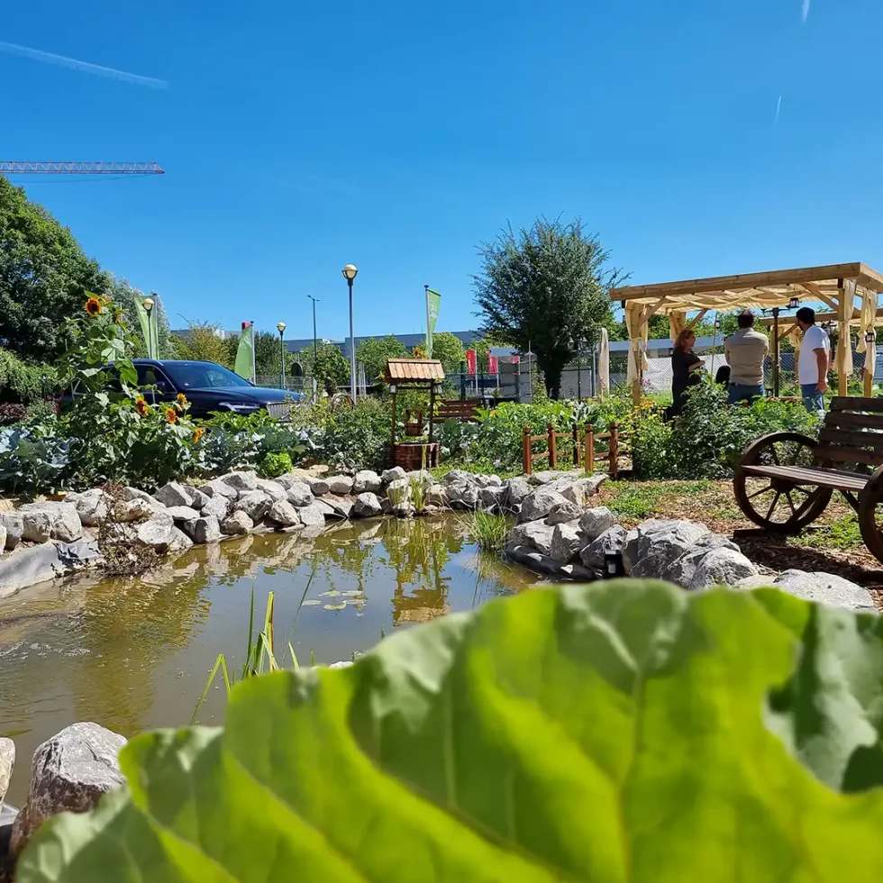 18d5b5_d15f6c49f67241fa8c1bca9345ecba26~mv2