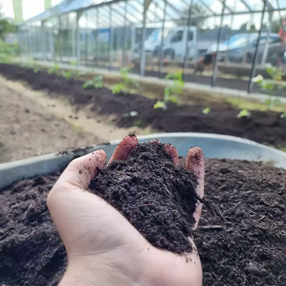 18d5b5_e256845600b745dfbb91f48ec3d97a44~mv2