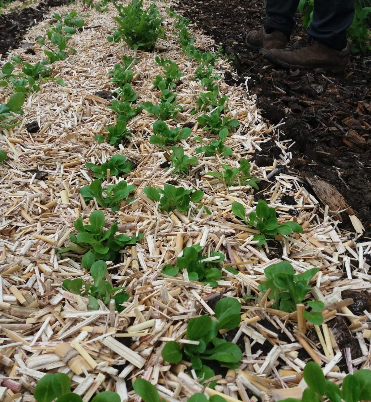 1a74df77-e7fd-47a5-a169-b4ea611554a7