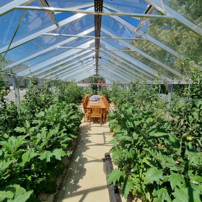 Une serre luxuriante