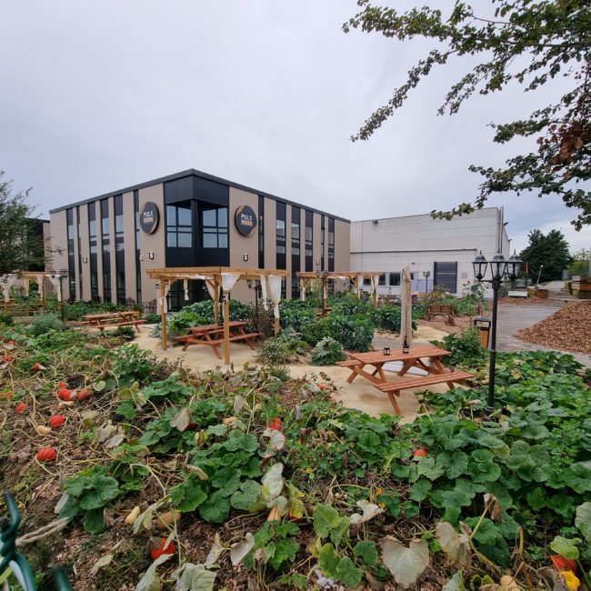 La saison des courges