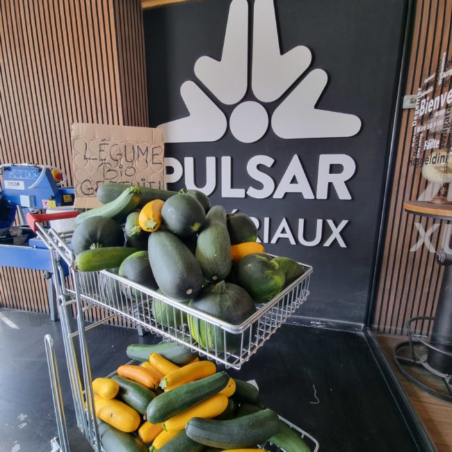 Distribution de courgettes aux employés