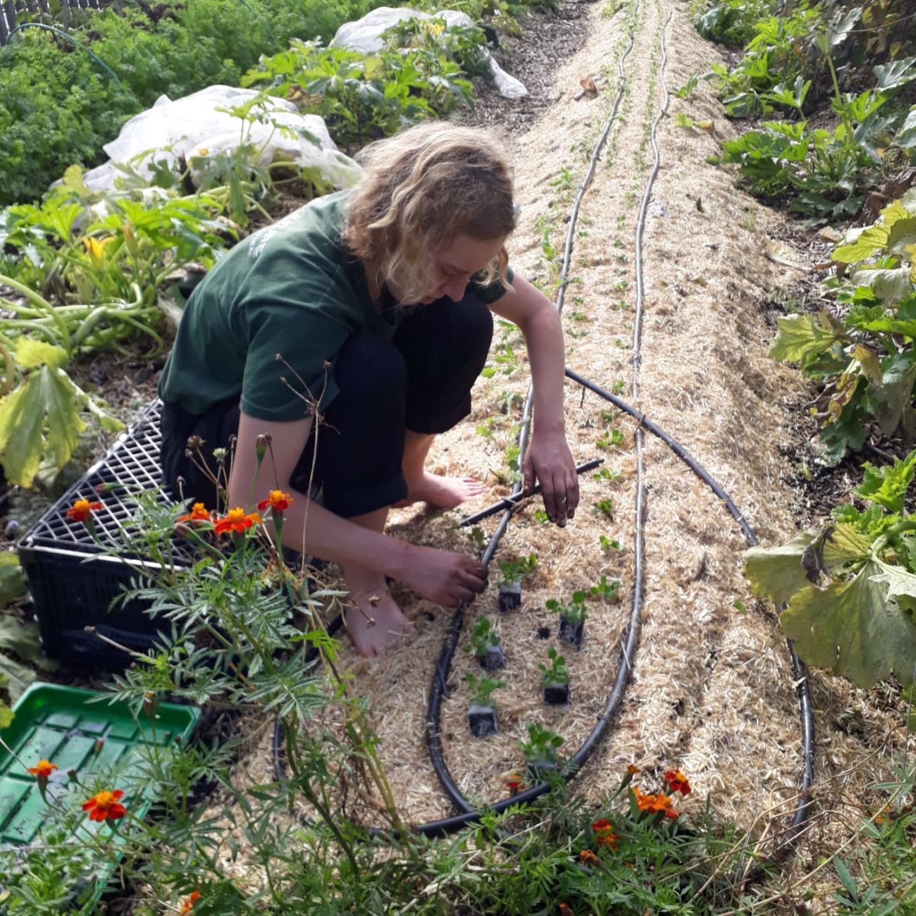 8b370c90-c196-472a-89b1-4858959626fd