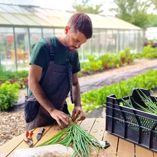 Préparation des récoltes