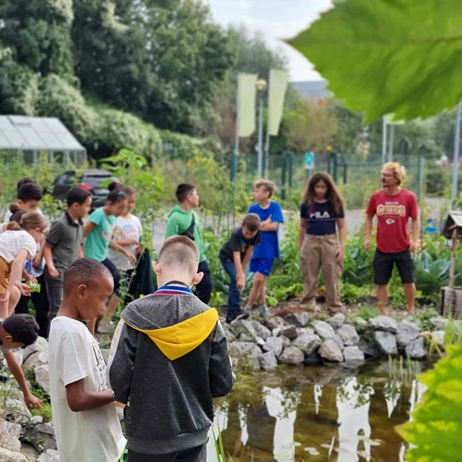 Visite scolaire au potager