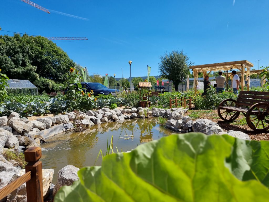 La mare en entreprise