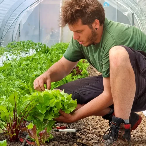 Maxime Maraîcher et Menuisier