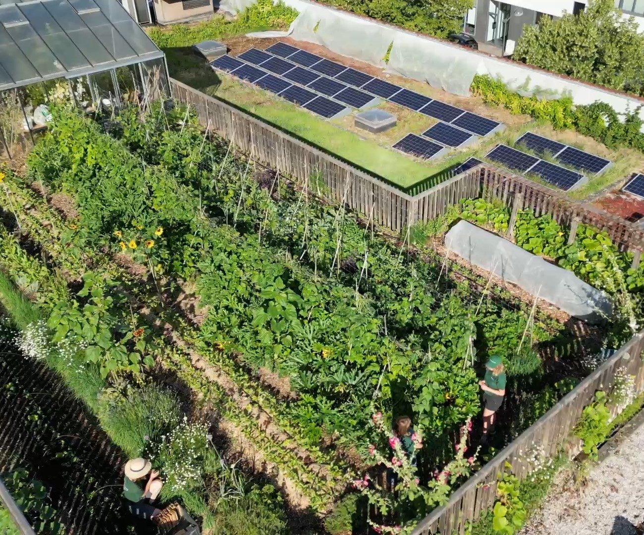 Urban Farm vue du ciel