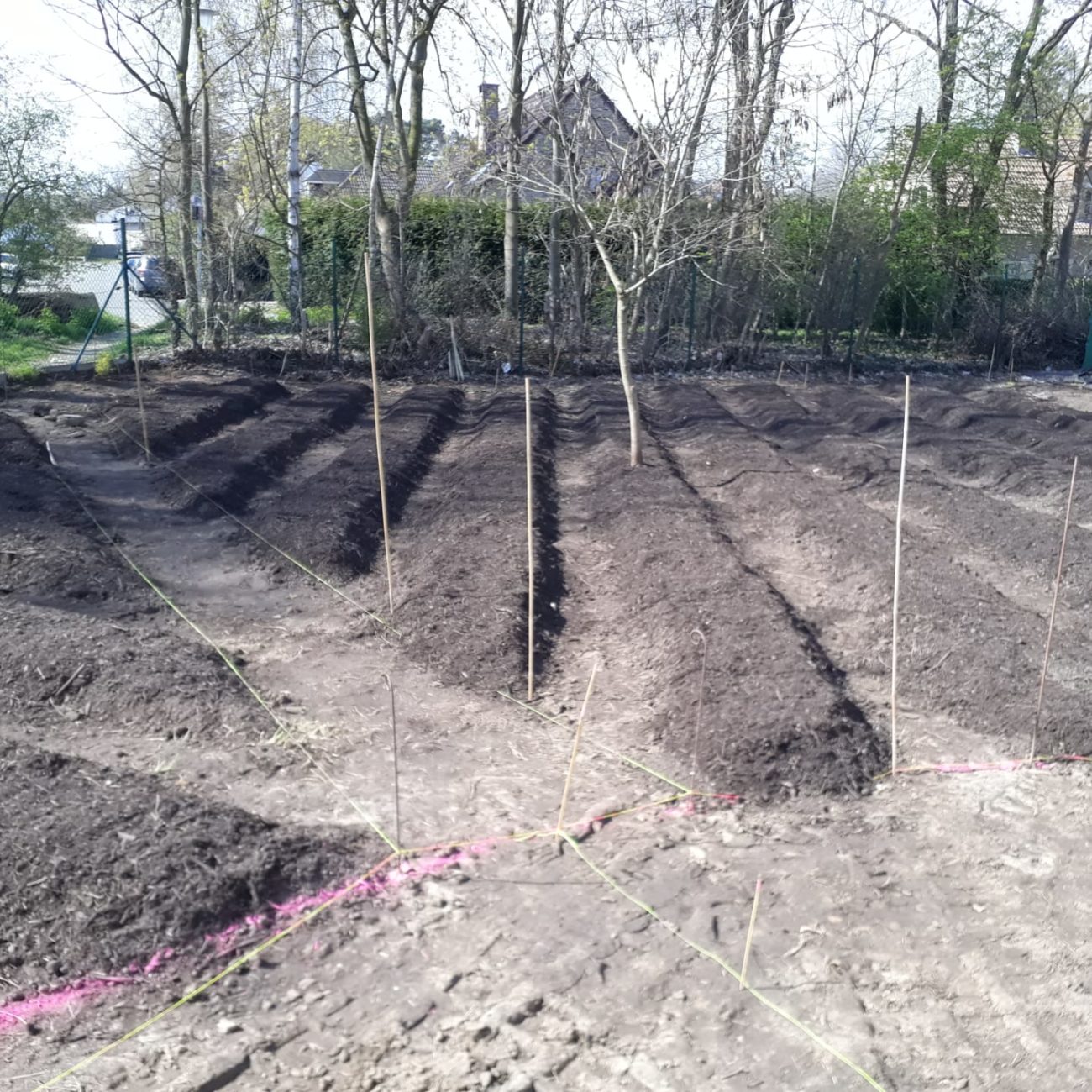 WhatsApp Image 2021-04-16 at 11.29.11