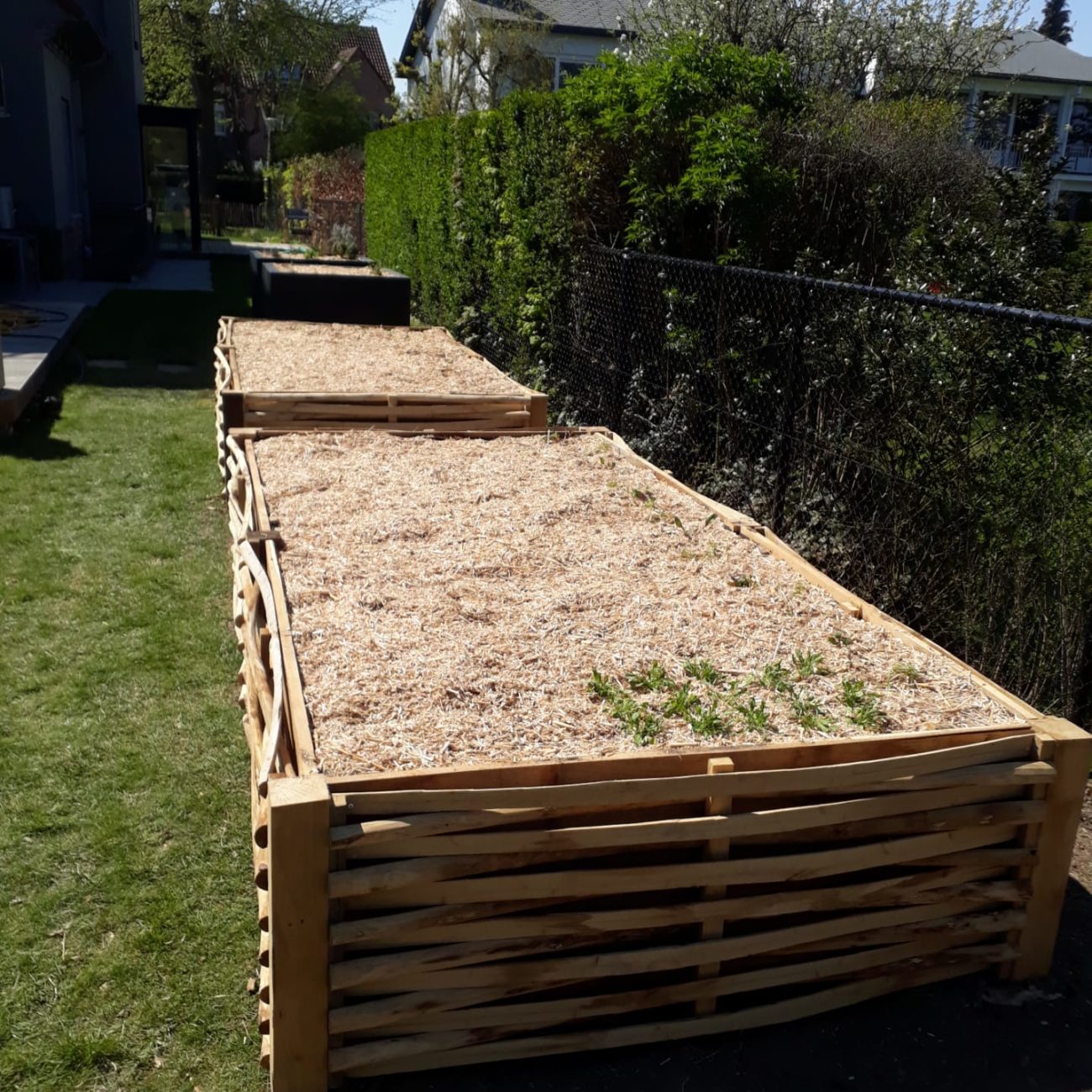 WhatsApp Image 2021-05-04 at 10.37.48