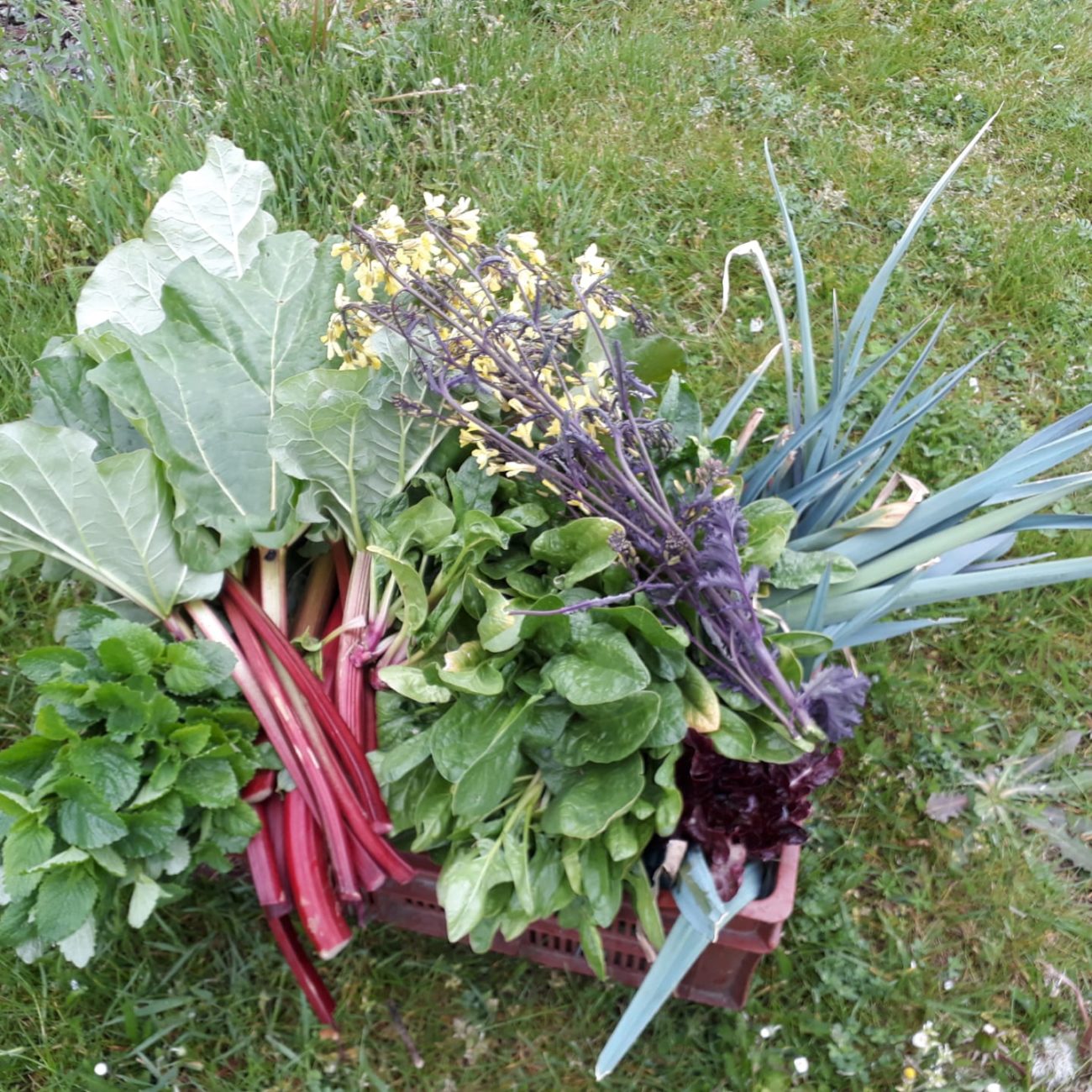 WhatsApp Image 2021-05-11 at 15.32.09 (5)