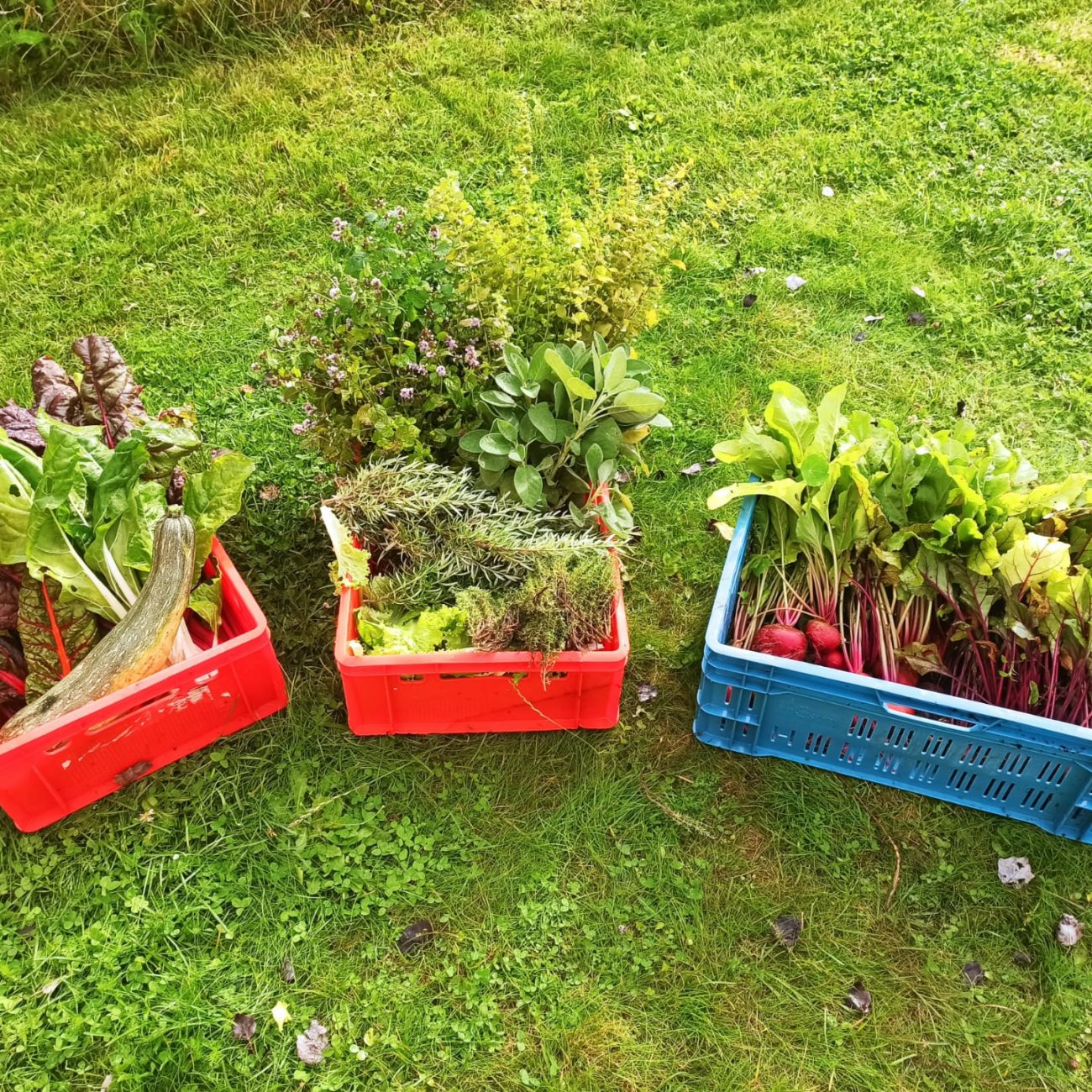 WhatsApp Image 2021-08-17 at 10.06.47