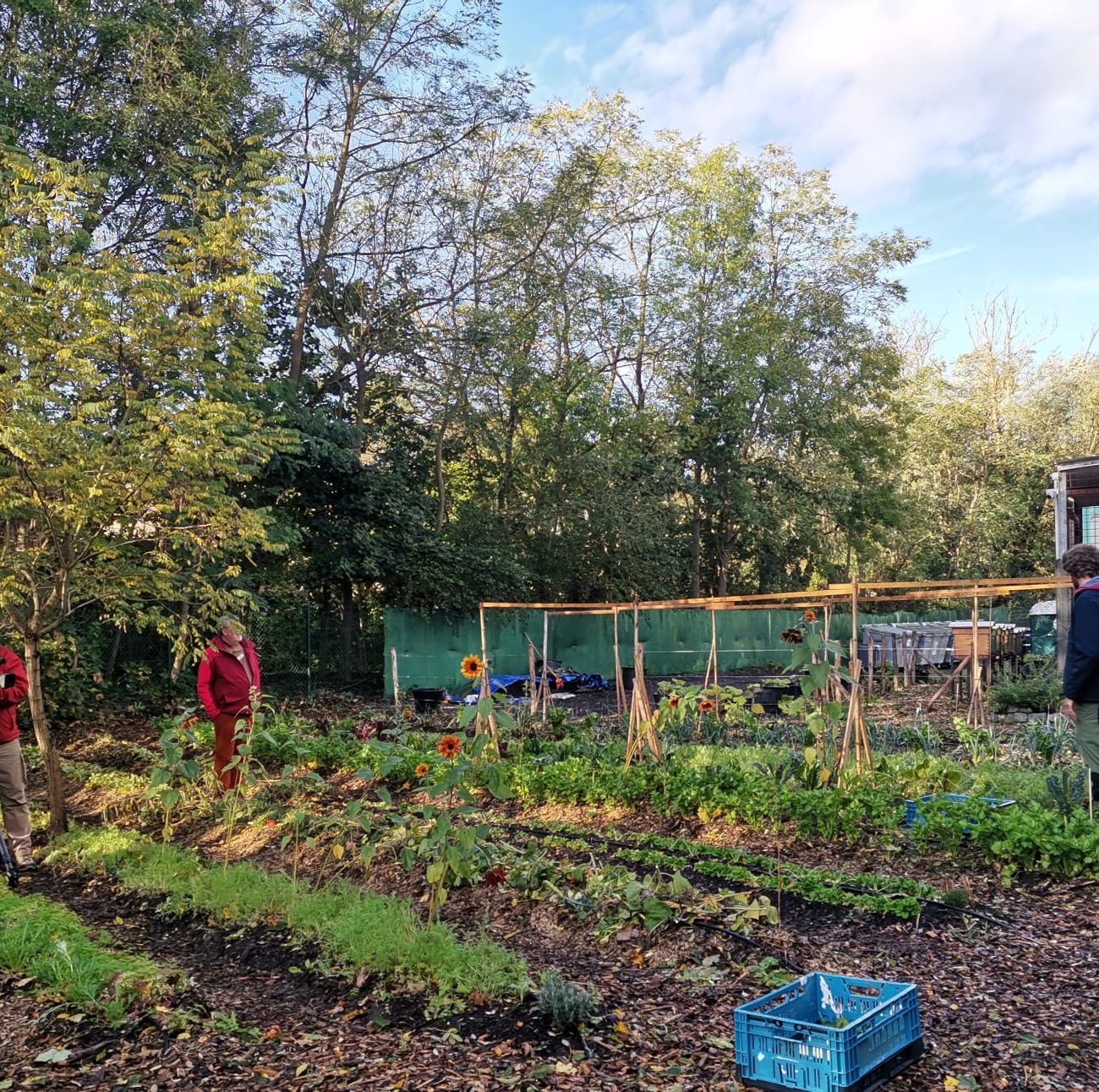 WhatsApp Image 2021-10-22 at 17.24.45 (3)