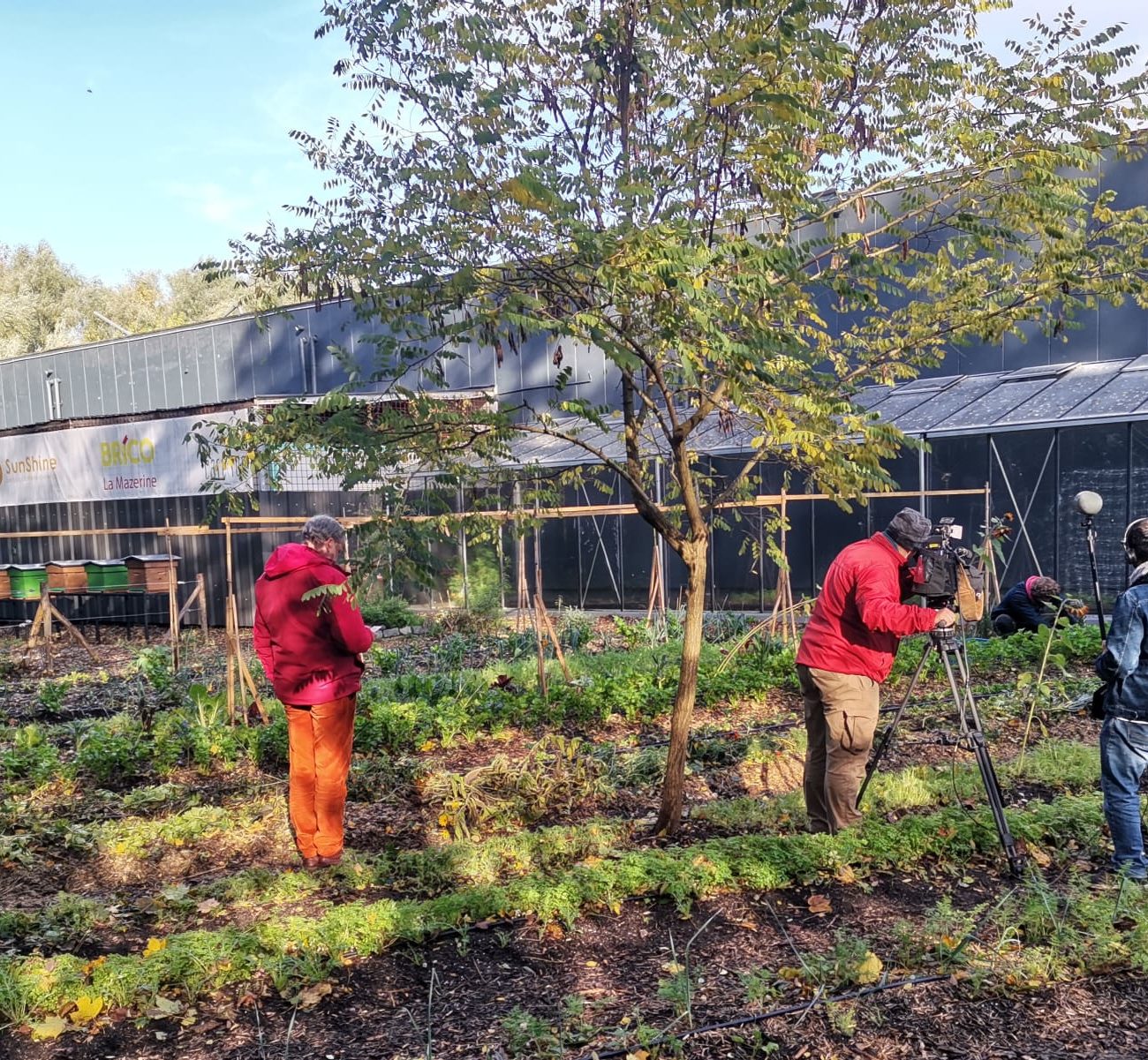 WhatsApp Image 2021-10-22 at 17.24.45 (4)