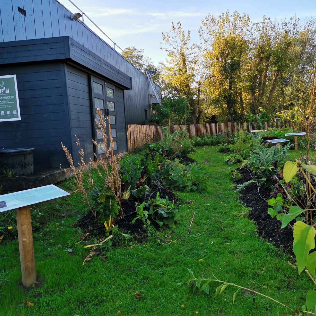 WhatsApp Image 2021-10-22 at 17.24.46