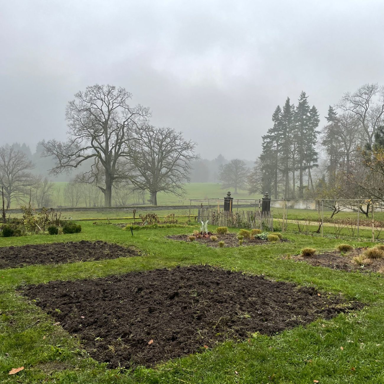 WhatsApp Image 2021-11-29 at 10.51.44 (4)