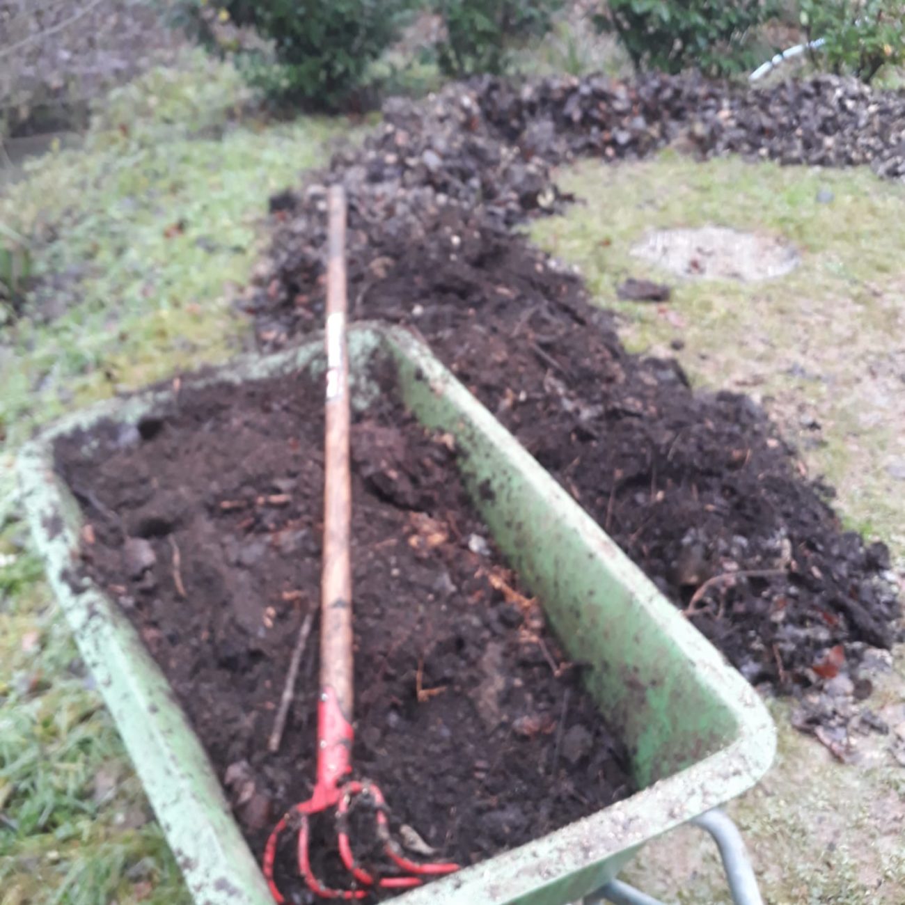 WhatsApp Image 2021-12-17 at 16.33.23 (1)