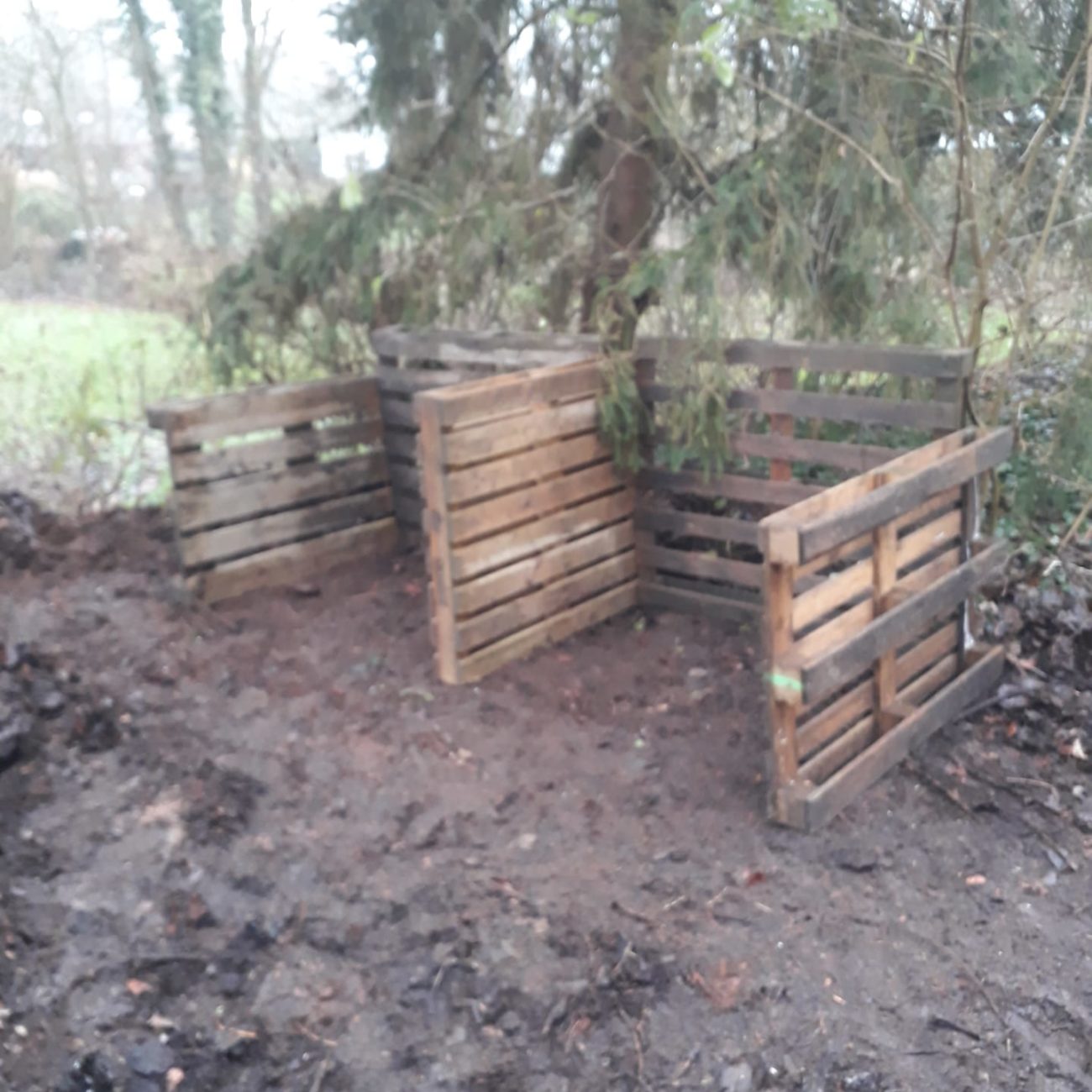 WhatsApp Image 2021-12-17 at 16.33.23 (5)