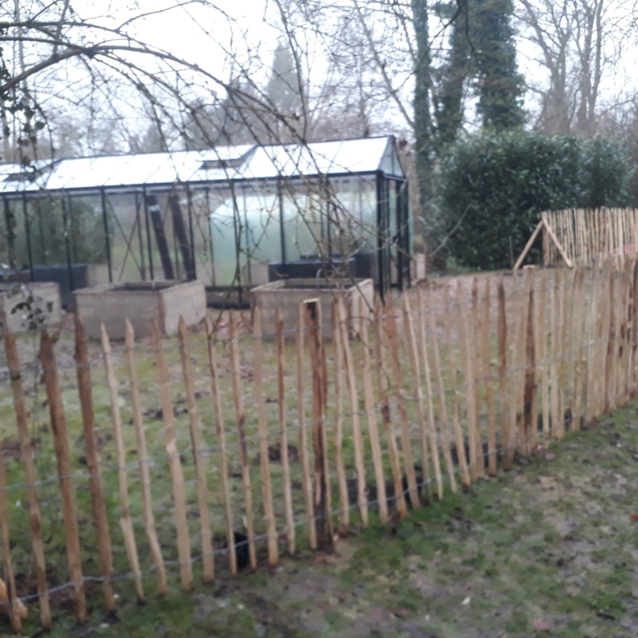 WhatsApp Image 2021-12-17 at 16.33.24