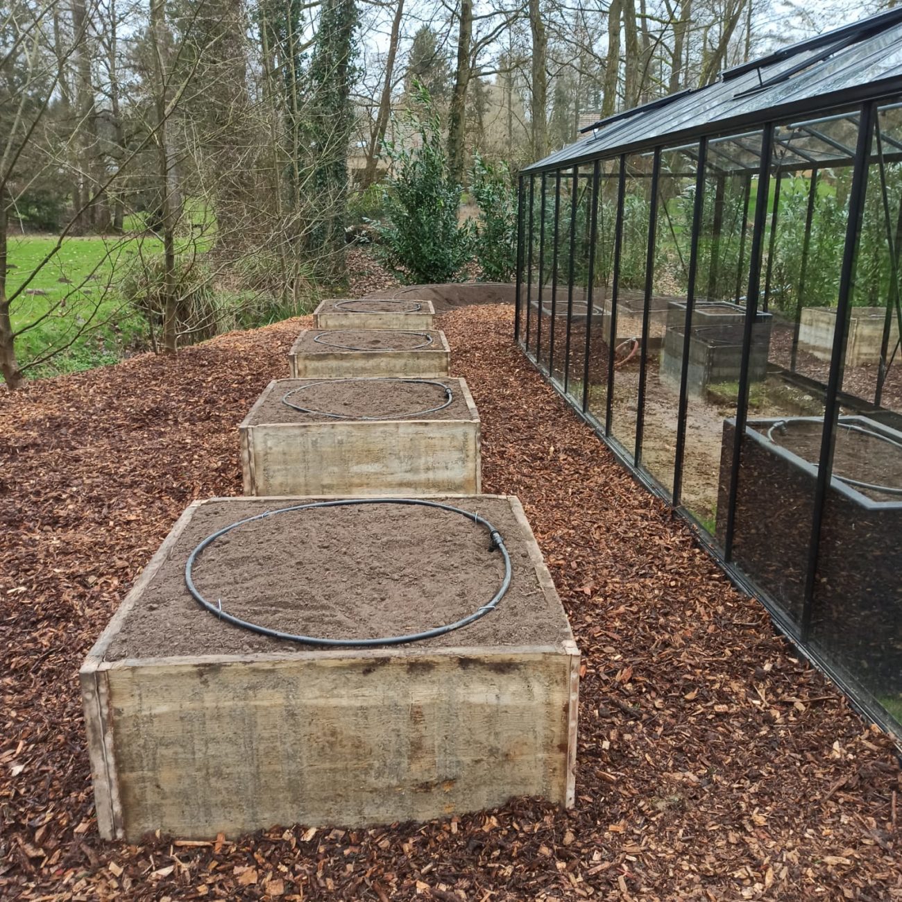 WhatsApp Image 2022-02-03 at 14.12.49 (1)