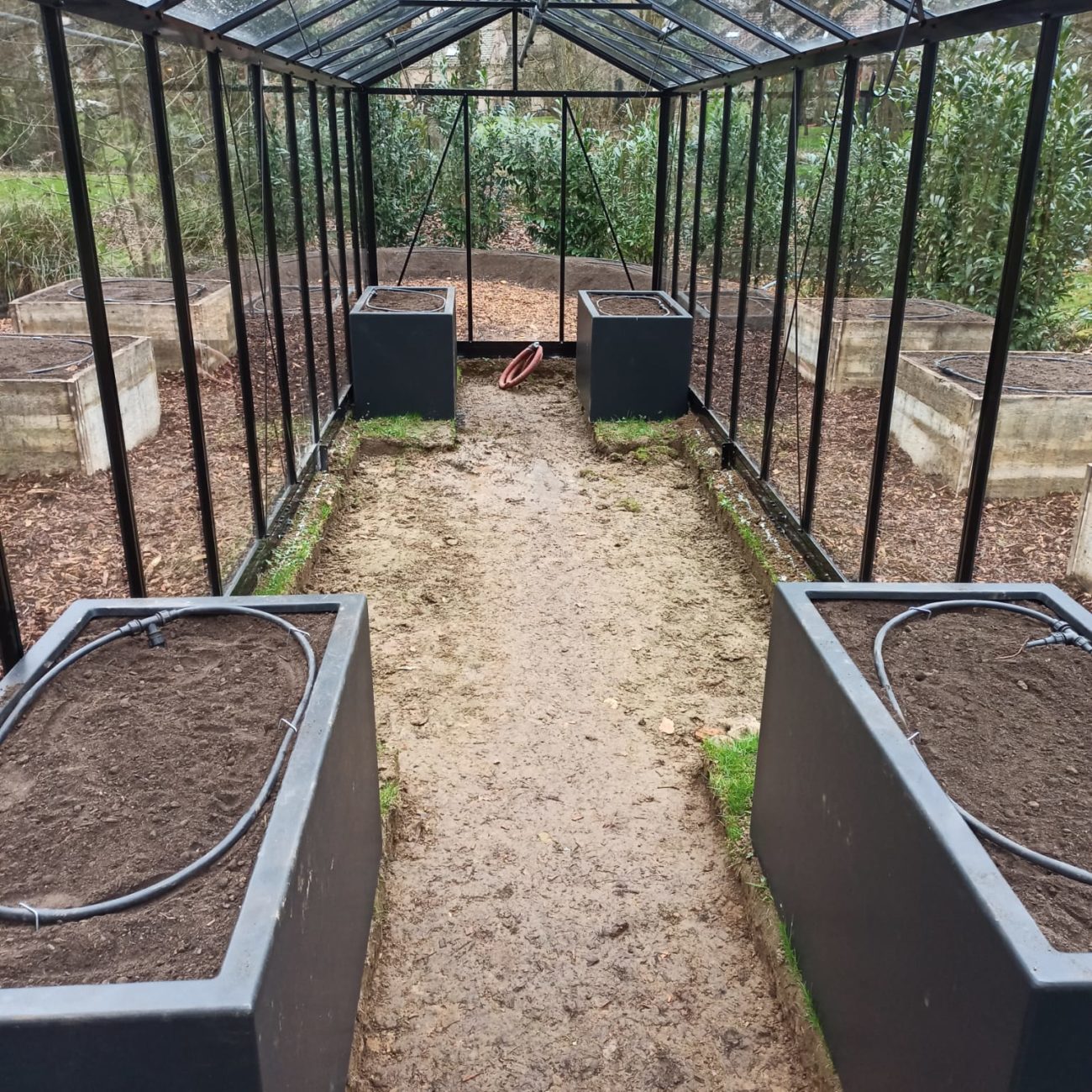 WhatsApp Image 2022-02-03 at 14.12.49 (2)