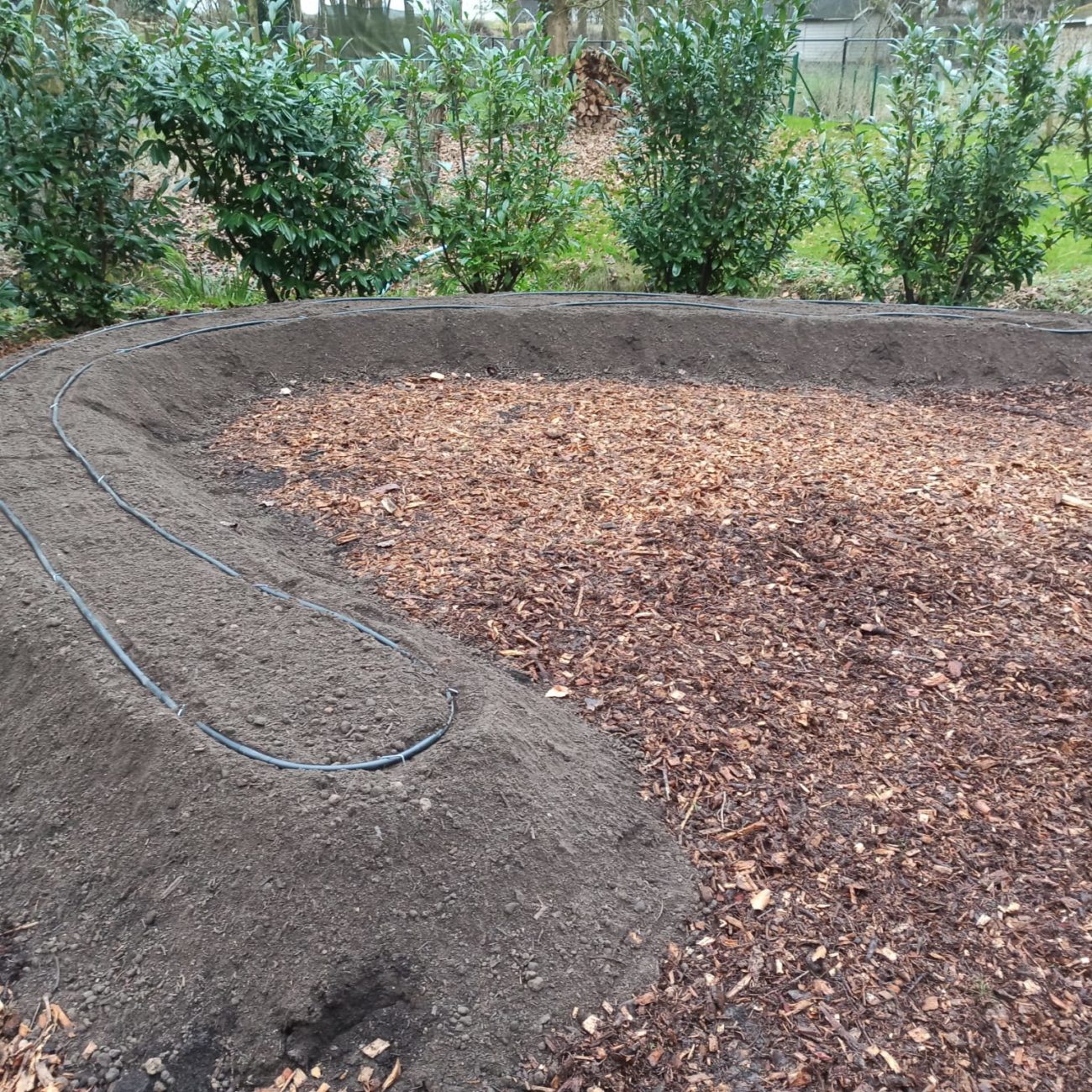 WhatsApp Image 2022-02-03 at 14.12.50