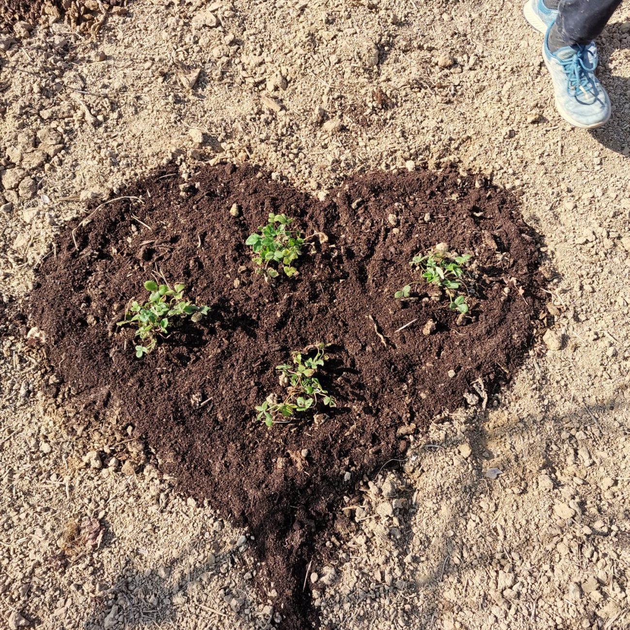 WhatsApp Image 2022-03-24 at 16.59.38