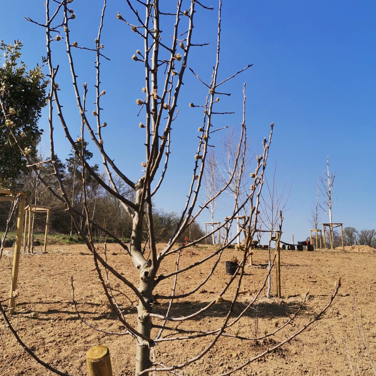 WhatsApp Image 2022-03-24 at 16.59.38 (3)