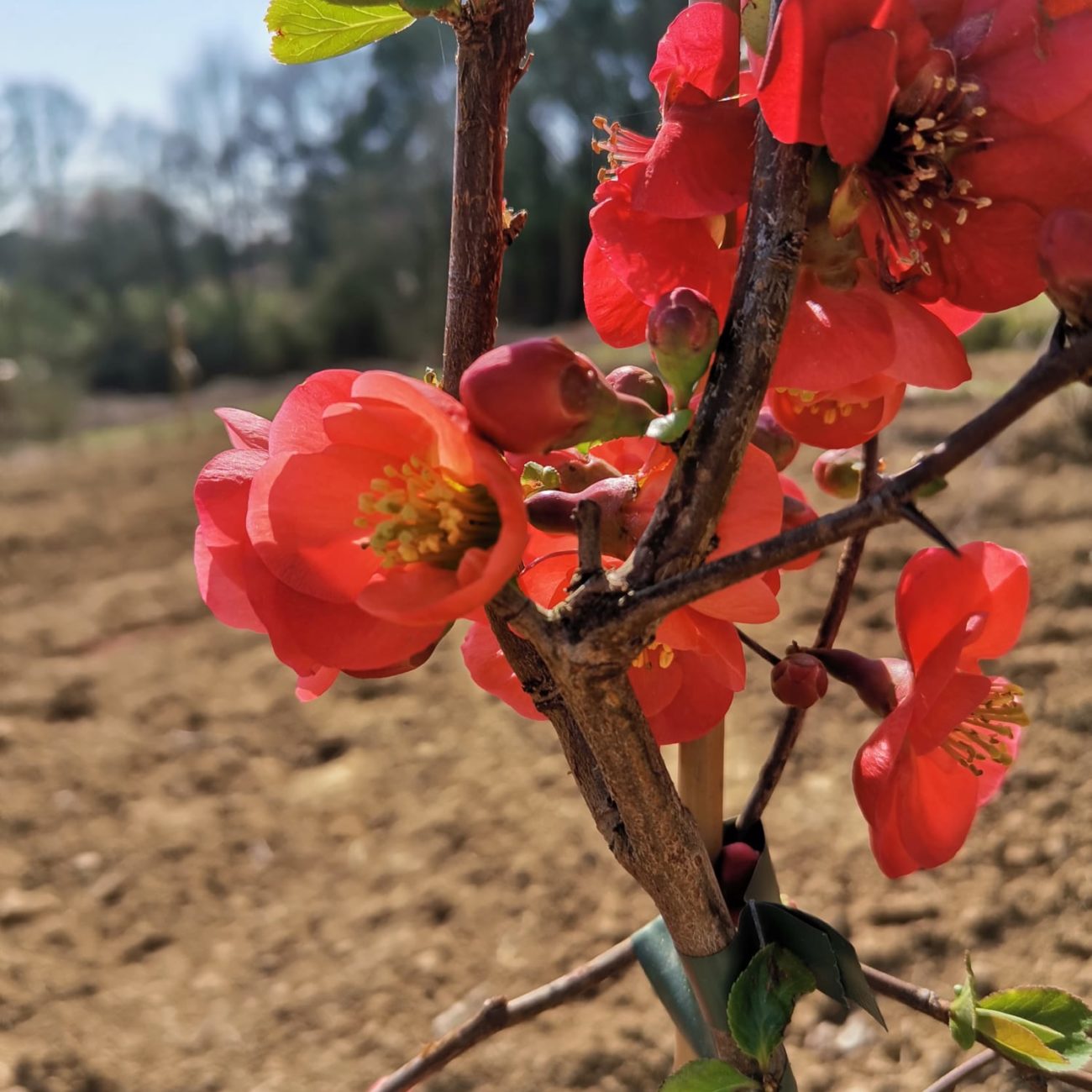 WhatsApp Image 2022-03-24 at 16.59.38 (4)